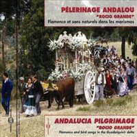 Pèlerinage Andalou - Rocio Grande: Flamenco Et Sons Naturels Dans Les Marismas