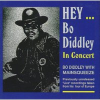 Hey... Bo Diddley: In Concert