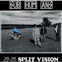 29:29 Split Vision