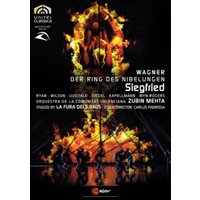 Siegfried: La Fura Dels Baus (Mehta)