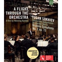 A Flight Through the Orchestra - Brahms Symphony No. 2
