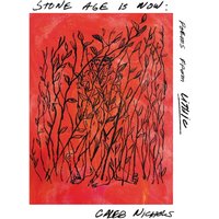 Stone Age Is Now: Poems from Lithic