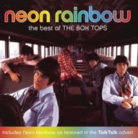 Neon Rainbow: The Best of the Box Tops