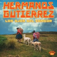 Los Ojos Del Cóndor
