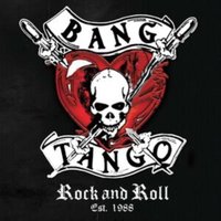 Rock and Roll Est. 1988 (Collector's Edition)