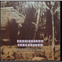 Instrumentals!: A Collection of Outernational Music Studies