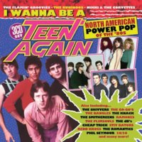 I Wanna Be a Teen Again: North American Power Pop of the '80s