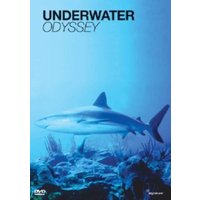 Underwater Odyssey
