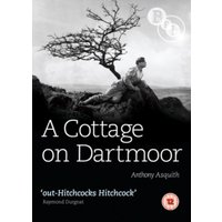 A Cottage On Dartmoor