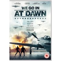 We Go in at Dawn