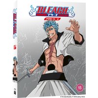 Bleach: Part 6