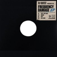 Frequency Damage EP
