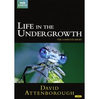 David Attenborough: Life in the Undergrowth - The Complete Seires