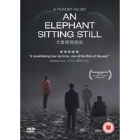 An Elephant Sitting Still