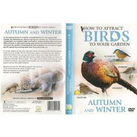 How to Attract Birds to Your Garden: Autumn and Winter