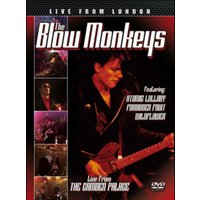 The Blow Monkeys: Live from London