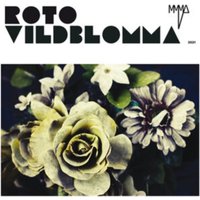 Roto Vildblomma