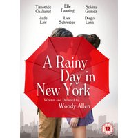 A Rainy Day in New York