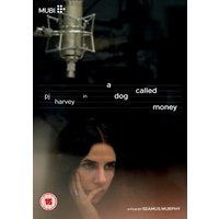 A Dog Called Money
