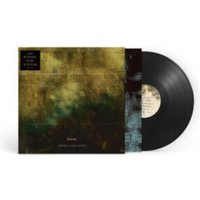 Surface, Echo & Sound