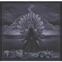 Ancient Tomes: Mother of Light