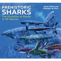 Prehistoric Sharks : The Evolution of Sharks in 40 Species