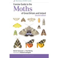 Concise Guide to the Moths of Great Britain and Ireland: Second edition