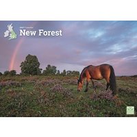 New Forest A4