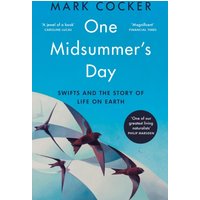 One Midsummer's Day : Swifts and the Story of Life on Earth
