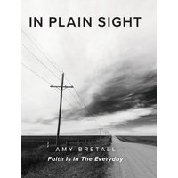 In Plain Sight : Faith Is In The Everyday