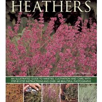 Heathers : An Illustrated Guide to Varities, Cultivation and Care, with Step-by-step Instructions and Over 160 Beautiful Photographs