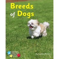 Breeds of Dogs : Phonics Phase 4