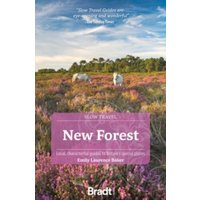 New Forest (Slow Travel)