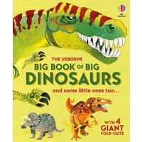 Big Book of Big Dinosaurs