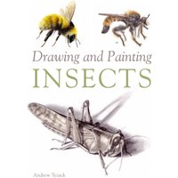Drawing and Painting Insects