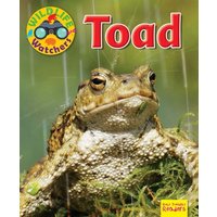 Wildlife Watchers: Toad