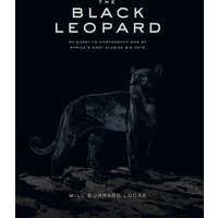The Black Leopard : My Quest to Photograph One of Africa's Most Elusive Big Cats