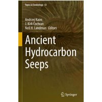 Ancient Hydrocarbon Seeps