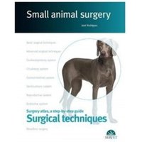 Surgical techniques. Small animal surgery
