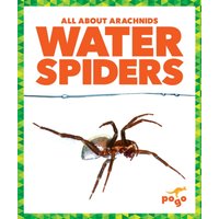 Water Spiders