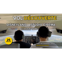 Wingly Deal Enjoy 19% Off Flights Over Disneyland and TSF Studios Gift Card