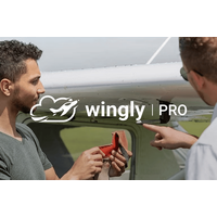 Schnupperflug Diamond DA40 + 1 Begleitperson - Gift card