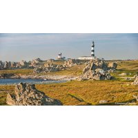 Tour de France (Retour) - Gift card