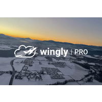 Schnupperflug mit Fluglehrer - Gift card