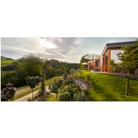 Gourmetflug zum Triad Machreich - Gift card