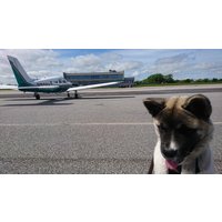 Flight to the scilley isles - Gift card