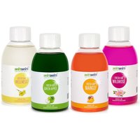 SET: 4x fresh AIR 250ml | Wellness | Green Apple | Mango | Wildrose
