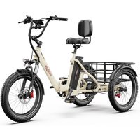 ONESPORT OT30 Pro Electric Tricycle 48V 18AH 500W 20 Inch Tires Adult City Cargo E-Tricycle