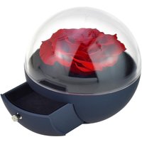 Coffret à bijoux rose éternelle rouge sous forme de globe - So Charm