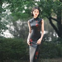 Oriental Qipao Cheongsam Chinese Dress -GXLBMG9FG